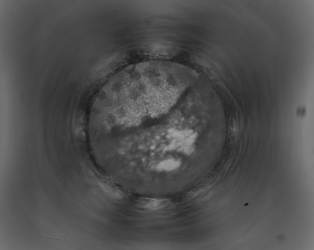X0000092220663200710051159