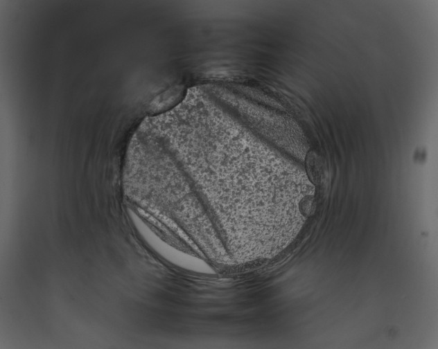 X0000092220665200710051159