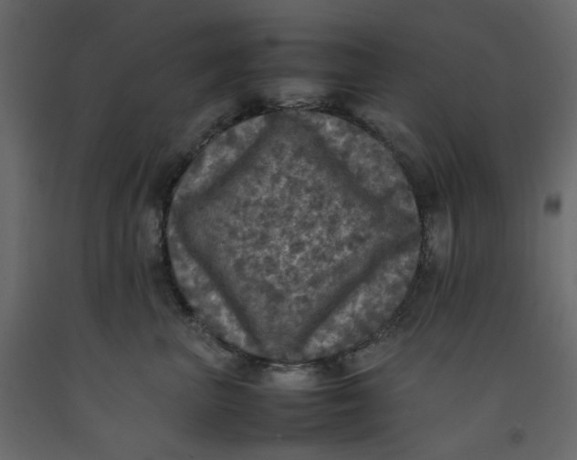X0000092220667200710051159