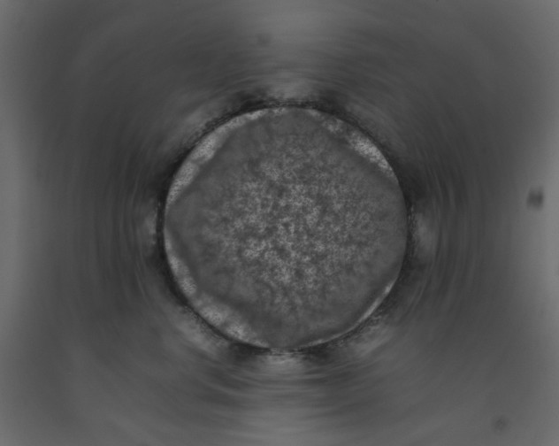 X0000092220668200710051159