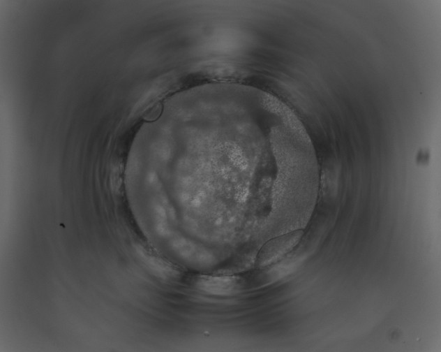 X0000092220671200710051200