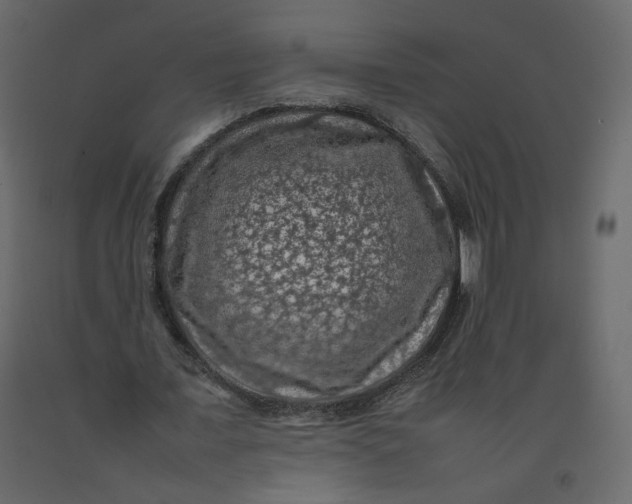 X0000092220675200710051159