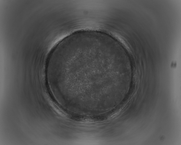 X0000092220677200710051159