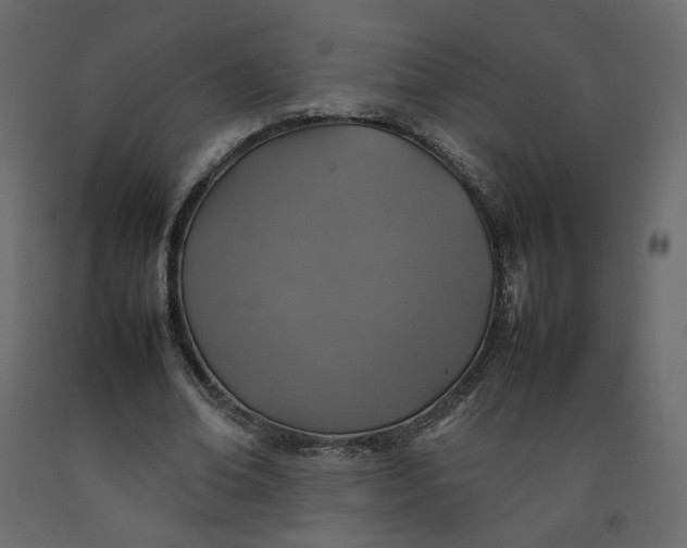 X0000092220678200710051159