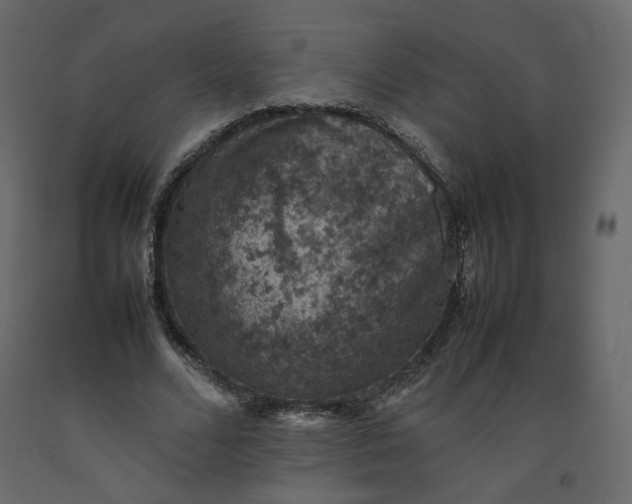 X0000092220680200710051159
