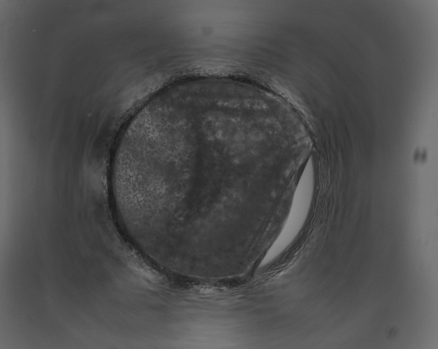 X0000092220681200710051159
