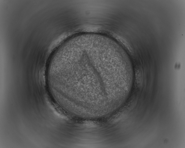 X0000092220682200710051159