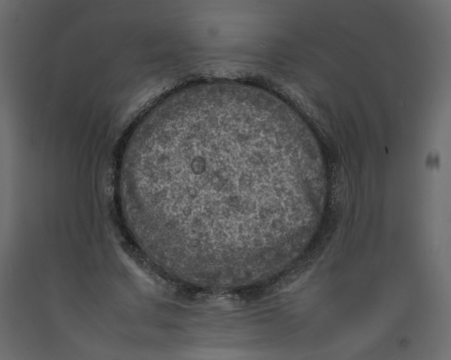 X0000092220683200710051159