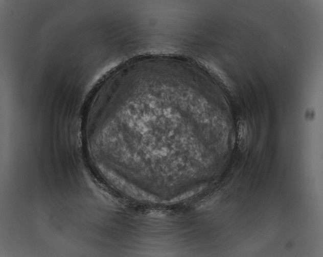 X0000092220684200710051159