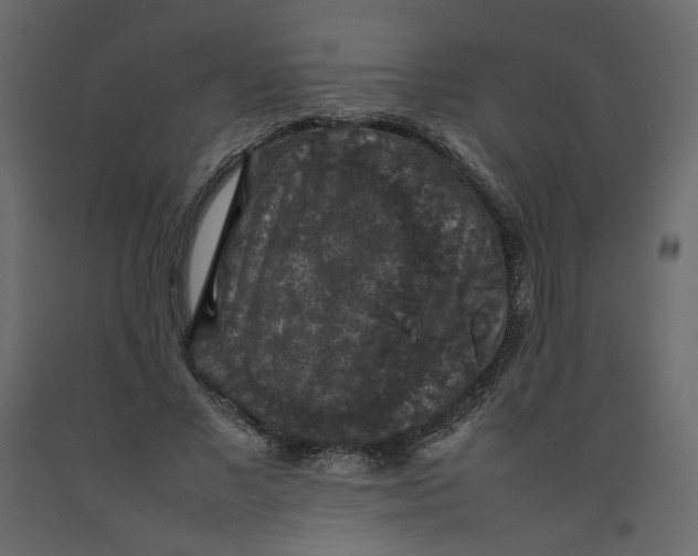 X0000092220685200710051159
