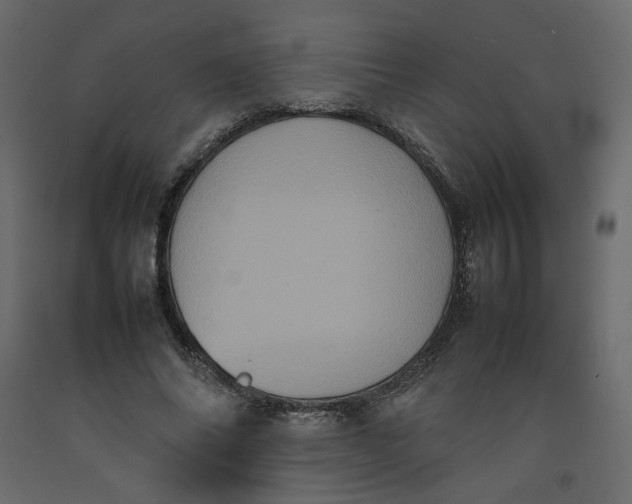 X0000092220686200710051159
