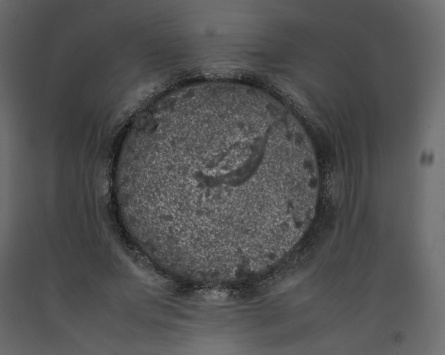 X0000092220687200710051159
