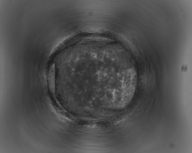 X0000092220688200710051159