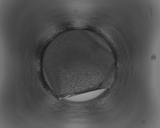 X0000092220689200710051159