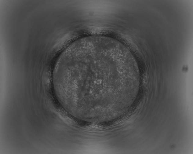 X0000092220691200710051159