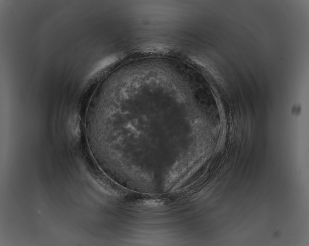 X0000092220692200710051159