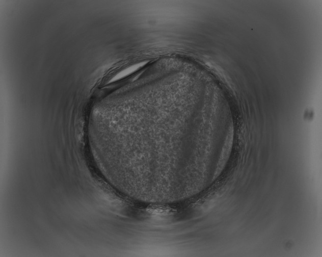 X0000092220693200710051159