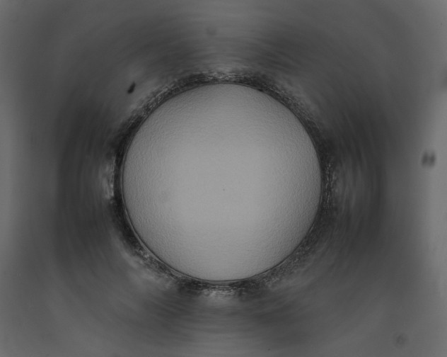 X0000092220694200710051158
