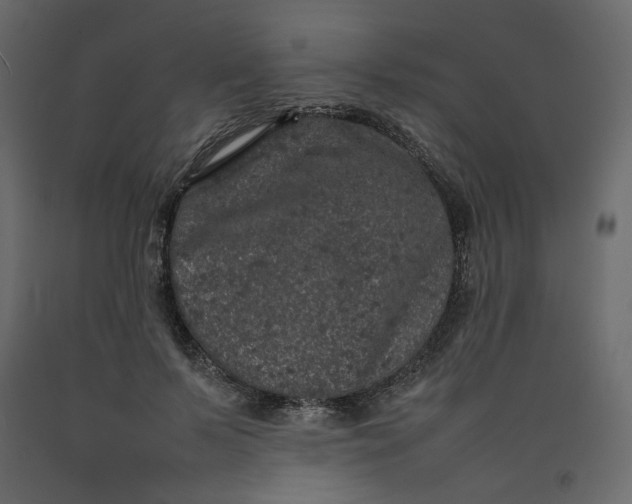 X0000092220695200710051158