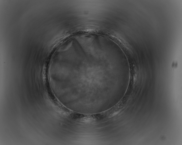 X0000092220696200710051158