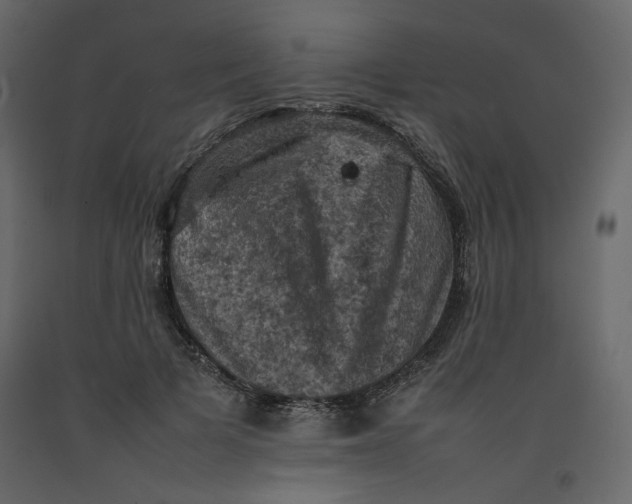X0000092220697200710051158