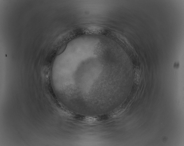 X0000092220701200710051158