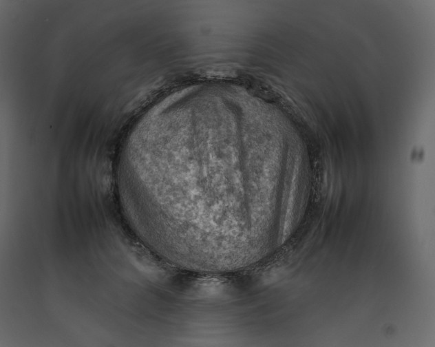 X0000092220704200710051158
