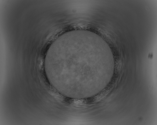 X0000092220709200710051158
