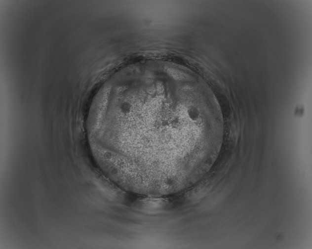 X0000092220711200710051158