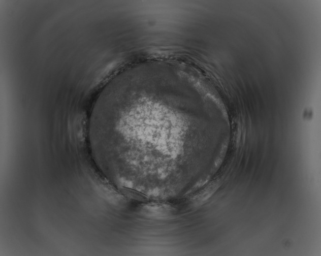 X0000092220712200710051158