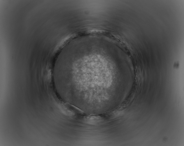 X0000092220716200710051158
