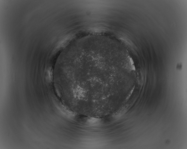 X0000092220718200710051158