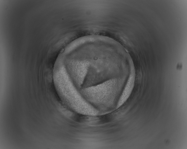 X0000092220719200710051158