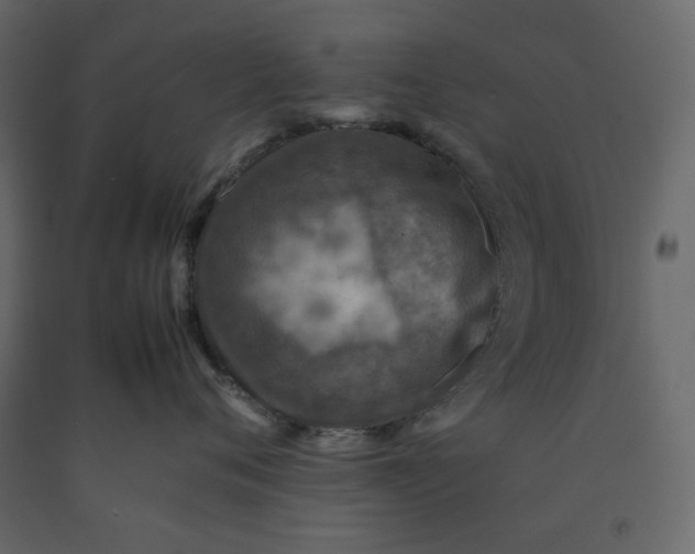 X0000092220720200710051158