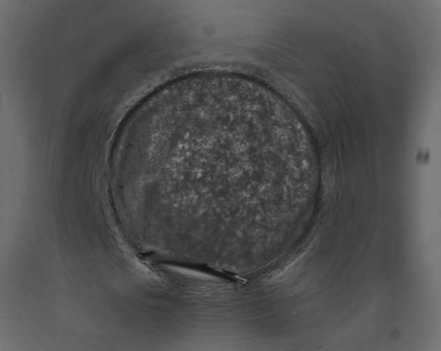 X0000092220721200710051157