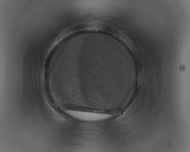 X0000092220722200710051157