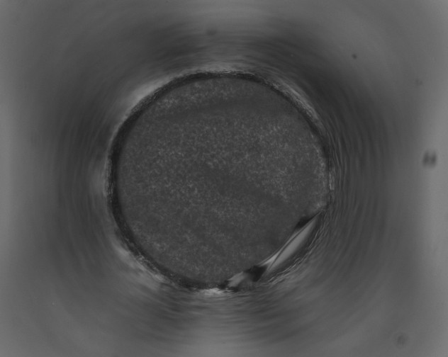 X0000092220724200710051157