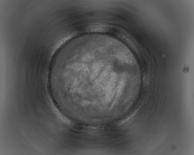 X0000092220725200710051157