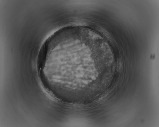 X0000092220726200710051157