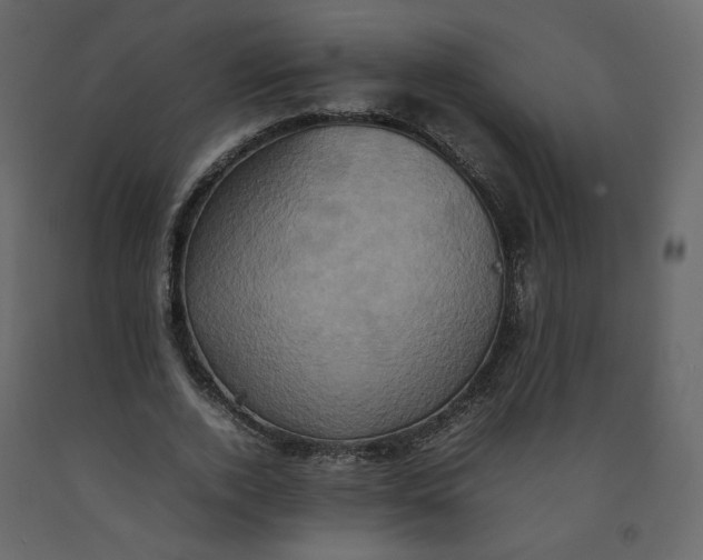 X0000092220728200710051157