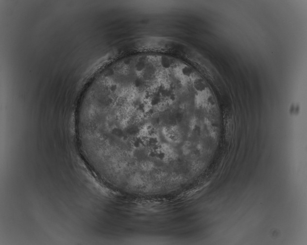 X0000092220729200710051157