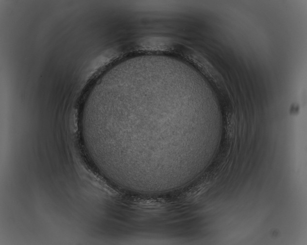 X0000092220731200710051157