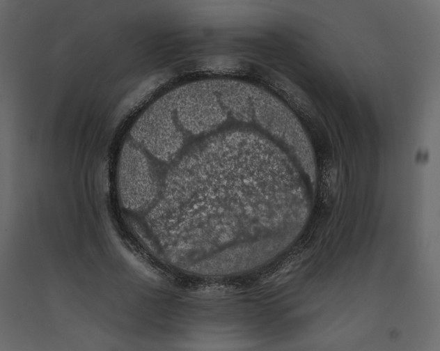 X0000092220734200710051157