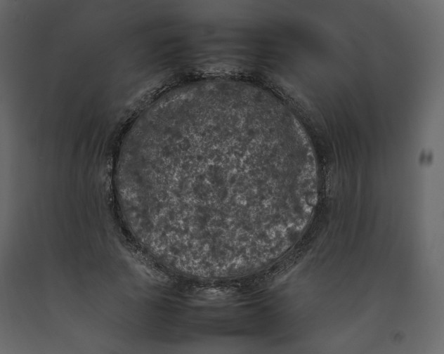 X0000092220737200710051157
