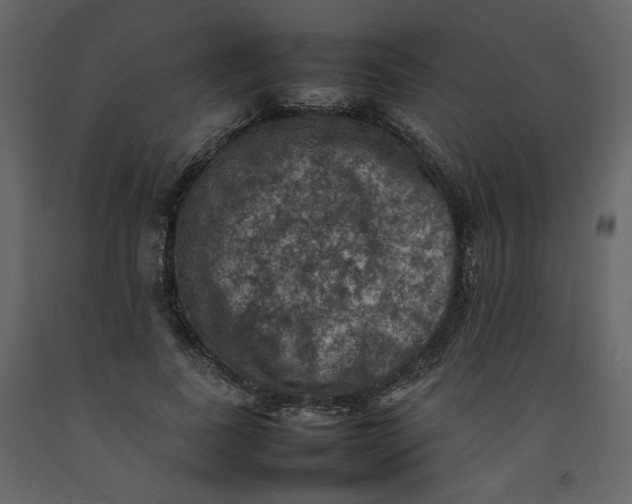 X0000092220739200710051157
