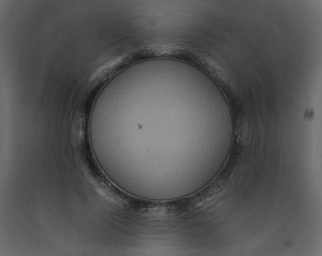 X0000092220740200710051157