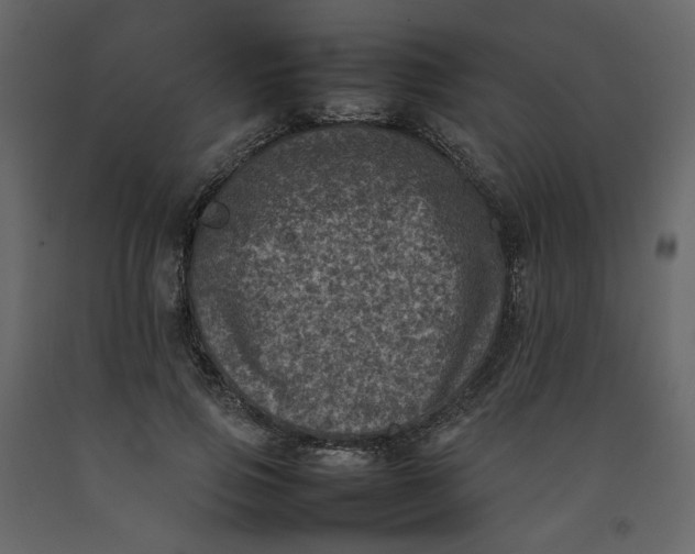 X0000092220741200710051157