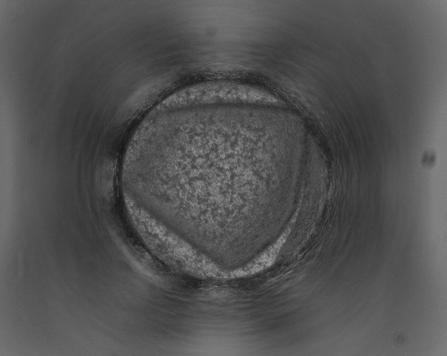 X0000092220742200710051157