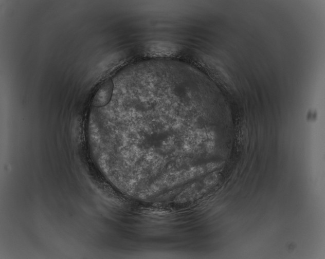 X0000092220743200710051157