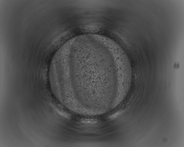 X0000092220745200710051158